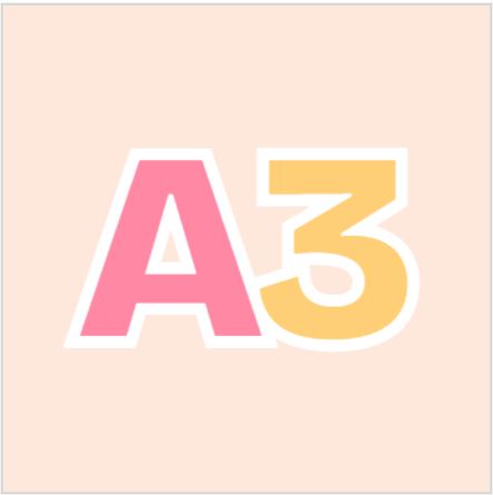 A3