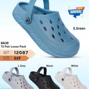 ZIPLITE -MEN LOOSE CLOGS<br>12087 (6X9)